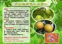 无公害绿色水果